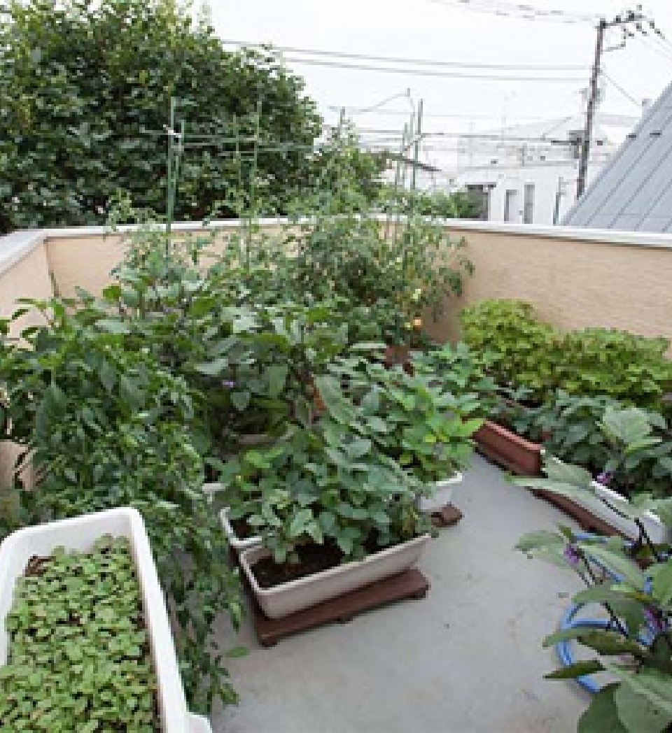 間取りの効果的な改善