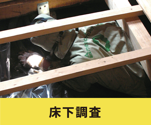 床下調査