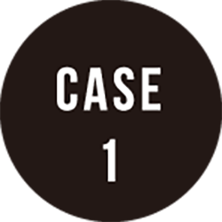 CASE1