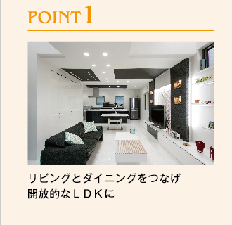 POINT1FrOƃ_CjOȂJILDK